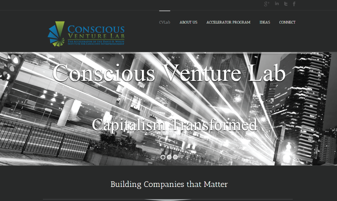 This portfolio features a black-and-white cityscape with dynamic light trails, creating a strong sense of motion and energy. The image is overlaid with the text “Conscious Venture Lab,” “Capitalism Transformed,” and “Building Companies that Matter,” reinforcing a modern and purpose-driven message.